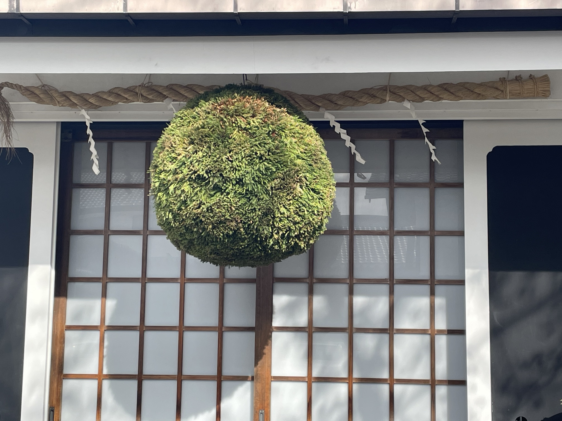 画像 -20251118-012222-b8cc5bd1